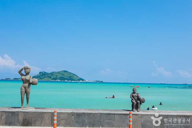 Jeju Geumnung Stone Wall Beach - image 8