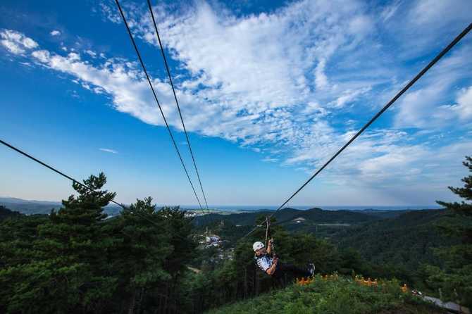 Experience the Best of Korea - image 1