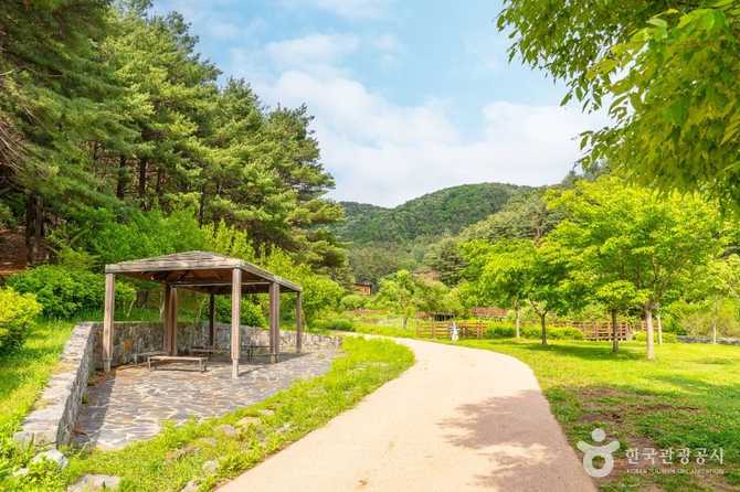 Discover Majaengi - image 1
