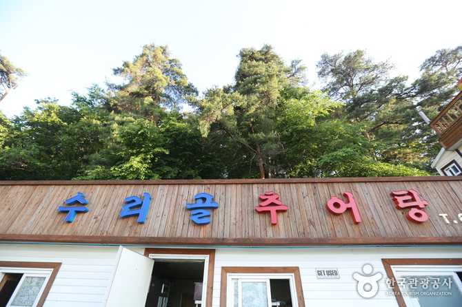 강릉 수리골추어탕 맛집 정보와 추천 메뉴 안내 2