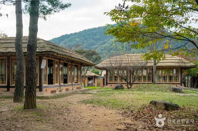 Discover Yecheon Samgang Cultural Comple - image 1