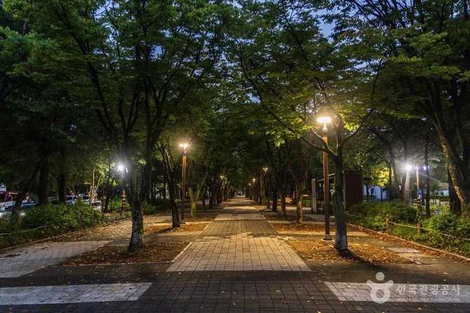 Discover Boramae Park in Daejeon - image 4