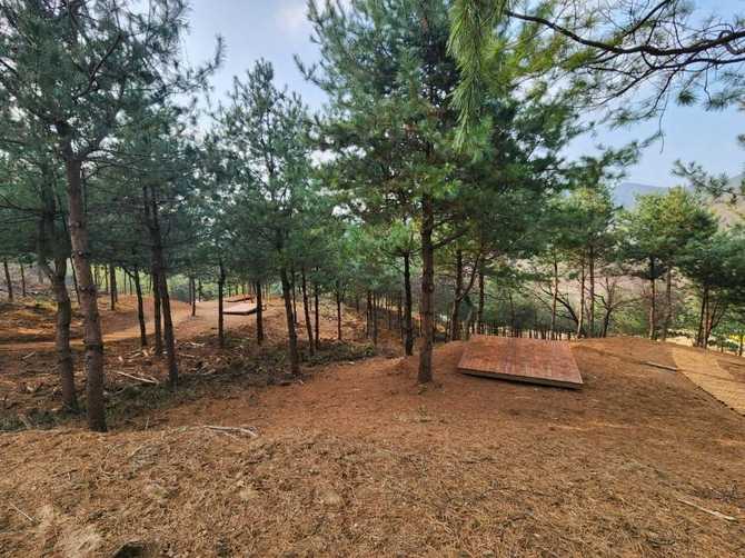 Jail Forest Healing Forest - image 1