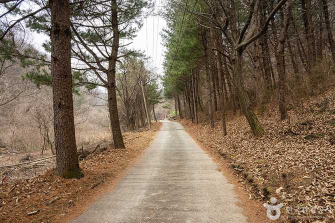 Discover Myeongji Mountain Trekking - image 2