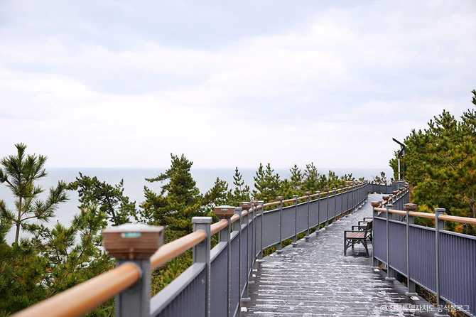 군산 비응 마파지길: 서해바다와 함께하는 산책로와 전망대 안내 2