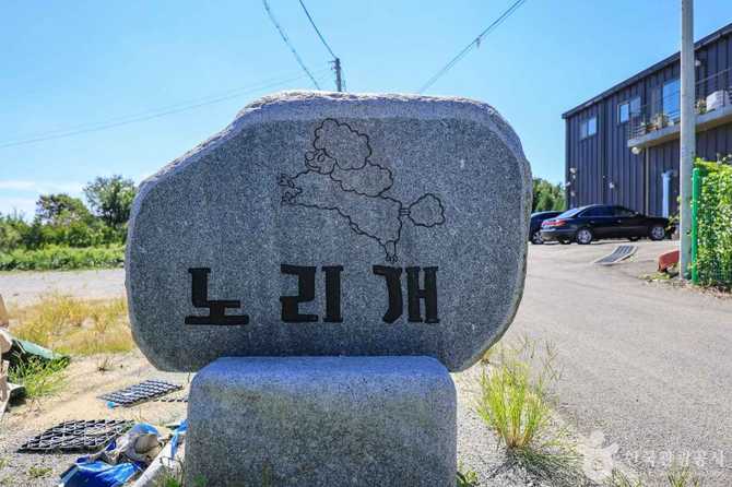 용인시 원삼면 위치한 노리개운동장, 반려견과 함께하는 최고의 애견운동장 2