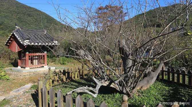 Discover the Geumsan Trail - image 1