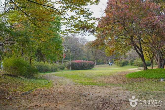 Discover Nanjicheon Park - image 2