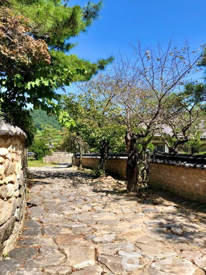 함양 일두고택: 조선시대 유학자 정여창의 옛집과 문화유산 탐방 3
