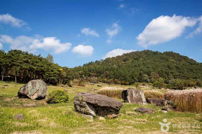 Discover the UNESCO World Heritage - image 2