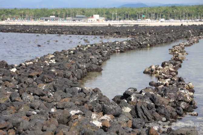 Jeju Geumnung Stone Wall Beach - image 15