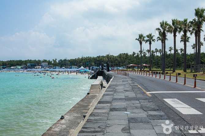 Jeju Geumnung Stone Wall Beach - image 14