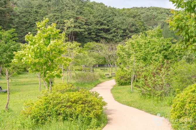 Discover Majaengi - image 5
