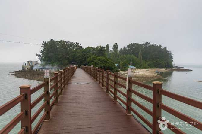Discover Bito Marine Fishing Park - image 3