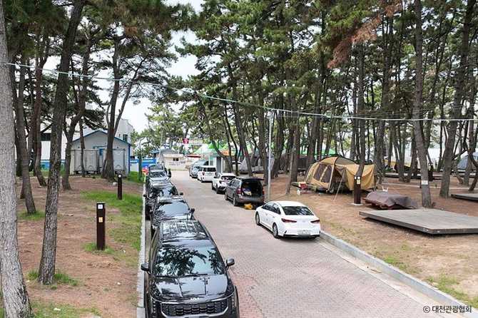 충남 보령 대천해수욕장캠핑장 이용 가이드와 예약 정보 3