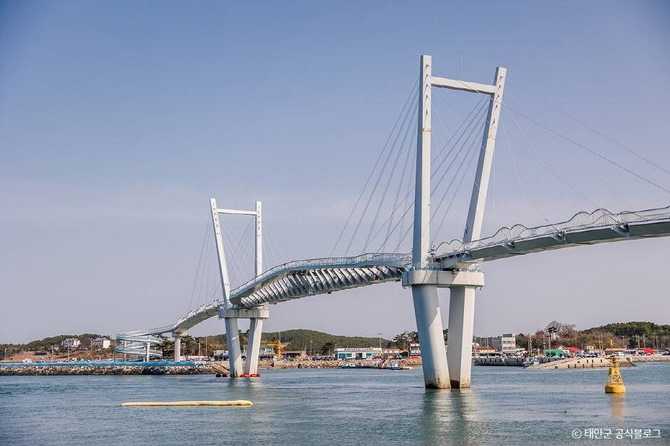 Discover Taian Flower Crab Bridge - image 3