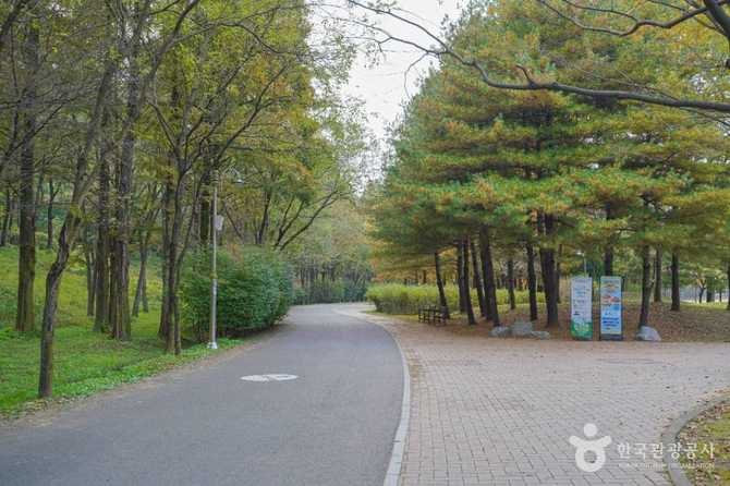 Discover Nanjicheon Park - image 1