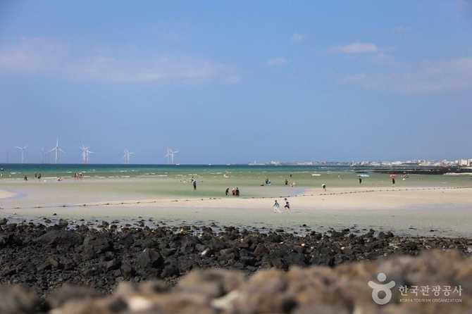 Jeju Geumnung Stone Wall Beach - image 12