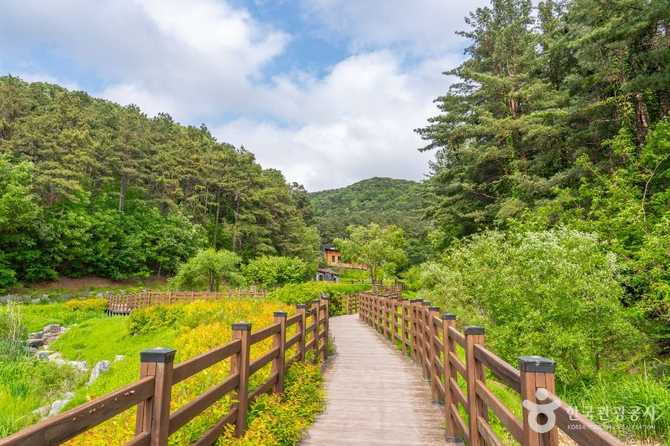 Discover Majaengi - image 4