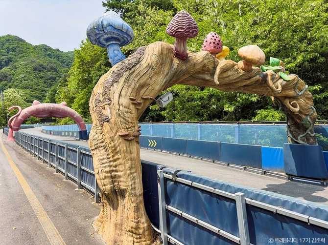Hongseong Luge Experience Park - image 4