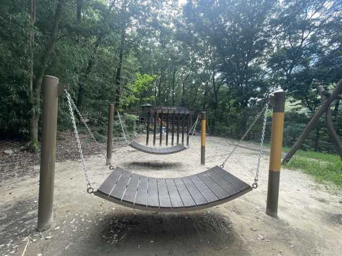 Discover Daechung Valley Bamboo Forest - image 3