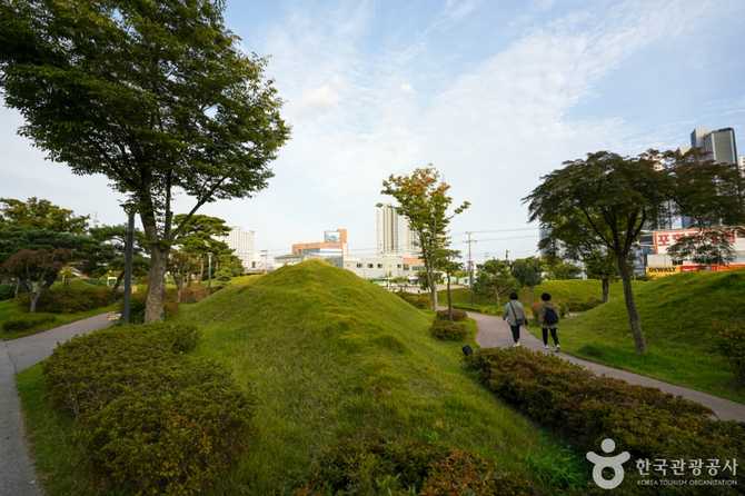 포항 철길숲과 불의정원: 도시 숲과 자연의 조화 4