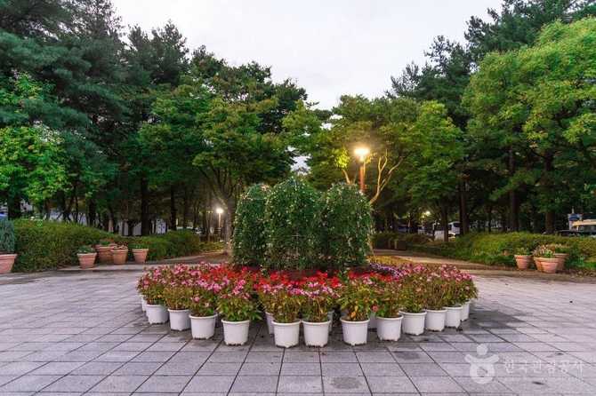 Discover Boramae Park in Daejeon - image 6