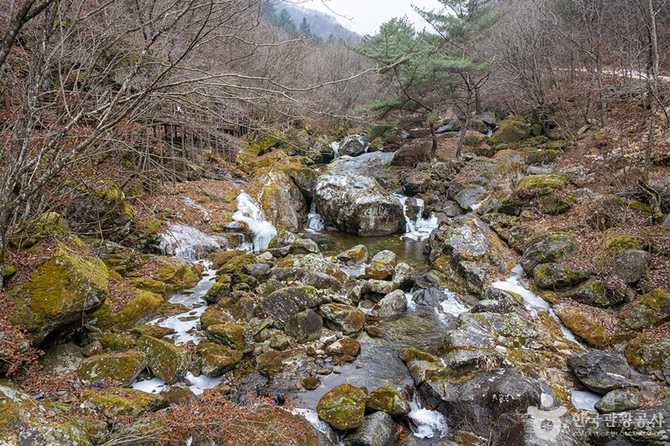 Discover Myeongji Mountain Trekking - image 3