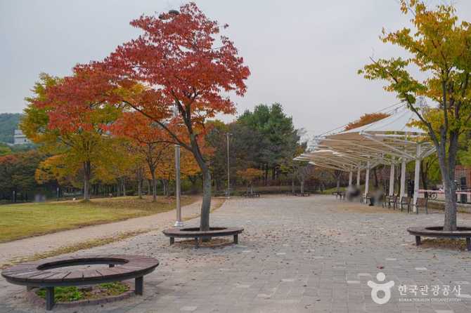 Discover Nanjicheon Park - image 5