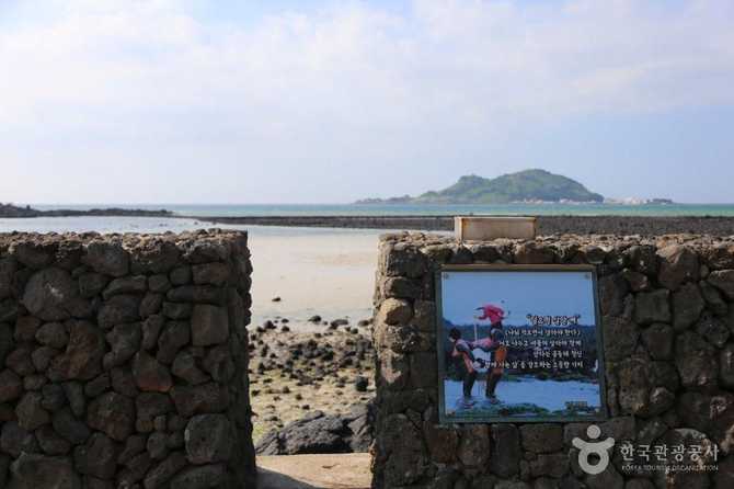 Jeju Geumnung Stone Wall Beach - image 19