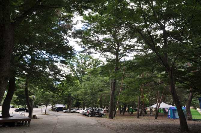 Discover Dapo Forest - image 5