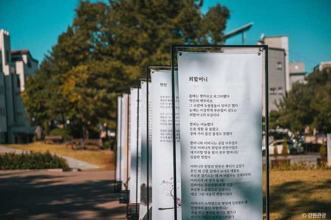 원주 박경리문학공원: 한국 문학의 깊이를 체험하는 명소 6