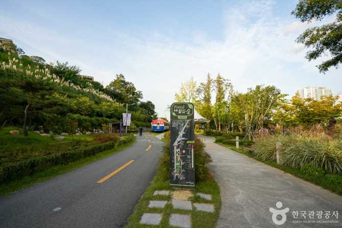 포항 철길숲과 불의정원: 도시 숲과 자연의 조화 5