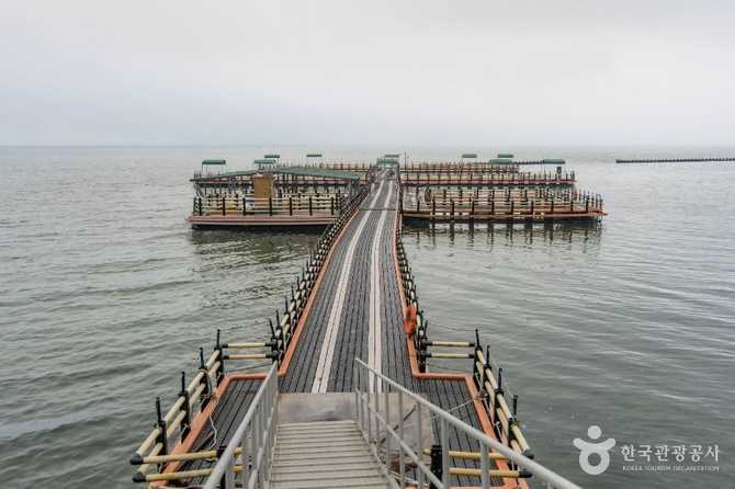 Discover Bito Marine Fishing Park - image 4