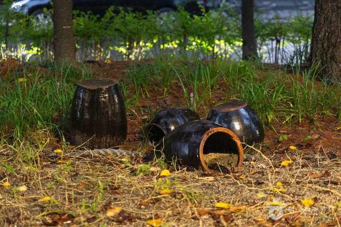 Discover Boramae Park in Daejeon - image 5