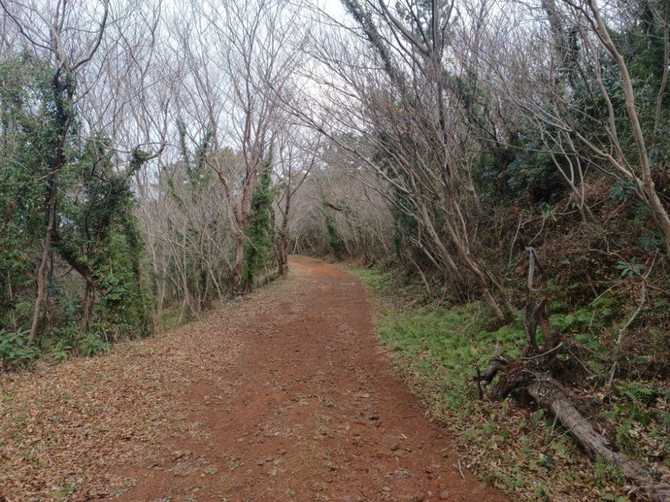 Discover Gaisooreum - image 6