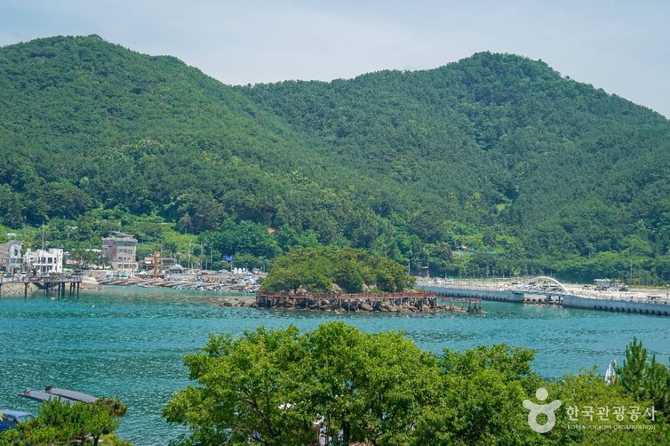 Discover Dongsom - image 6