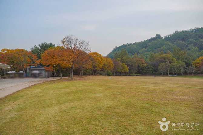 Discover Nanjicheon Park - image 4