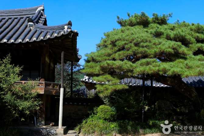 함양 일두고택: 조선시대 유학자 정여창의 옛집과 문화유산 탐방 6