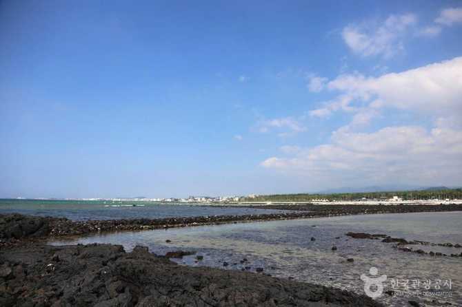 Jeju Geumnung Stone Wall Beach - image 18