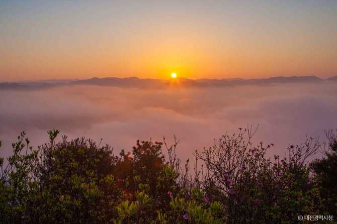 대전 동구 노고산 등산로와 전망 명소 안내 13