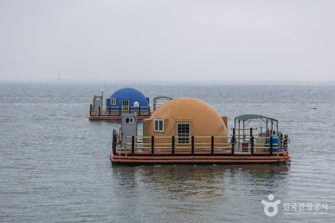 Discover Bito Marine Fishing Park - image 6