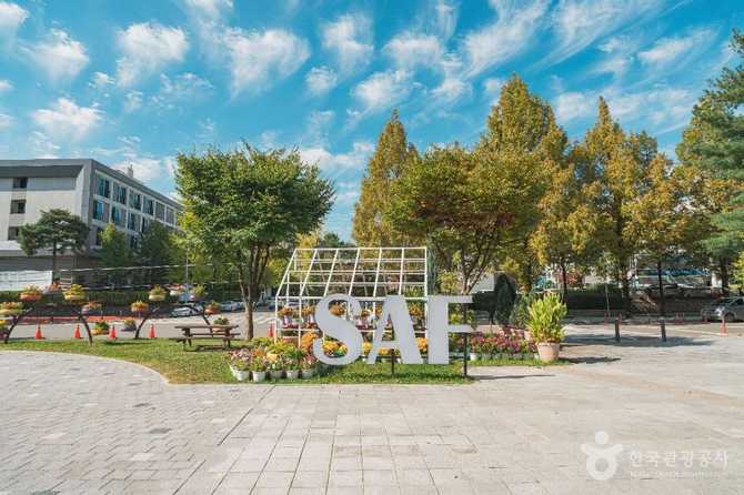 Discover Boramae Park in Daejeon - image 8