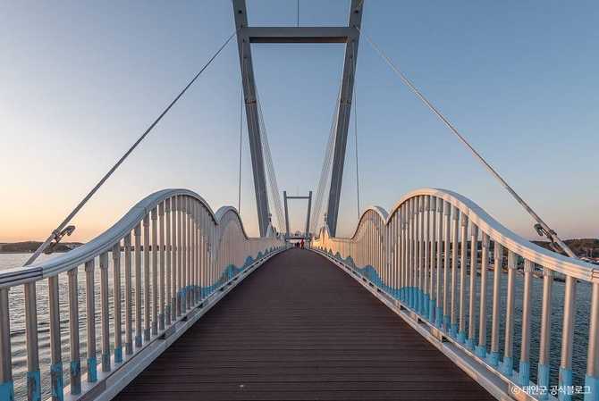 Discover Taian Flower Crab Bridge - image 5