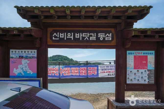 Discover Dongsom - image 5