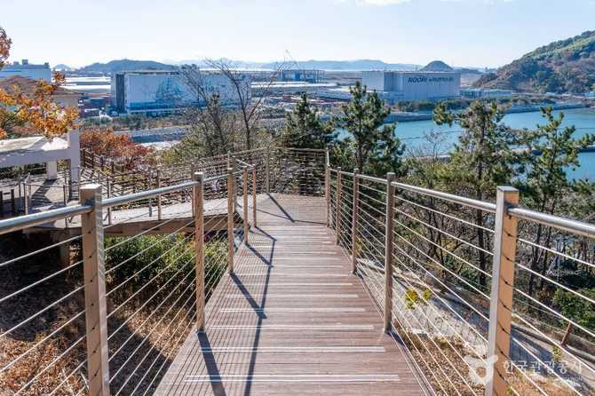 Discover Hwindo Meadow Park - image 5
