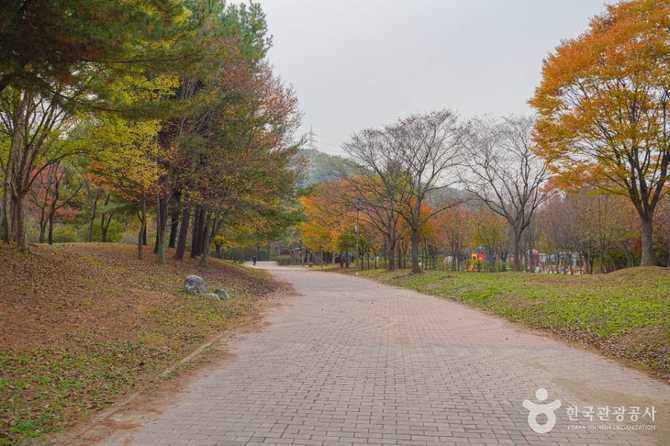 Discover Nanjicheon Park - image 7