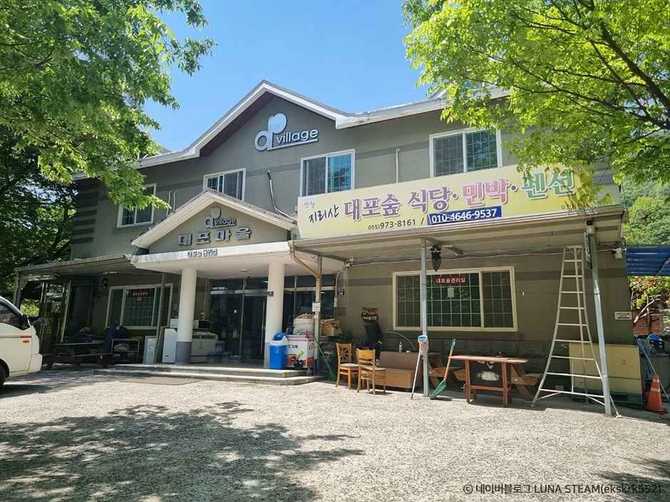 Discover Dapo Forest - image 9