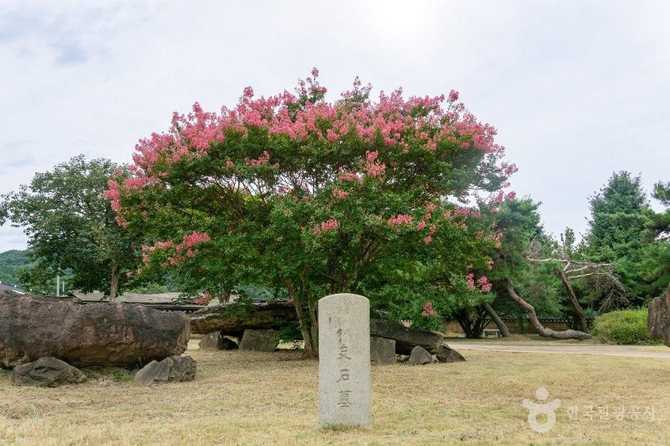Discover the Bonan Guhamri Dolmen - image 5