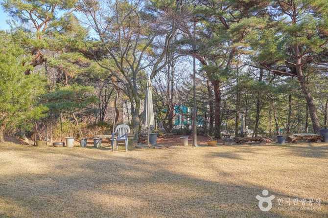 서울 강북구 박을복자수박물관: 전통과 현대 자수의 만남 6